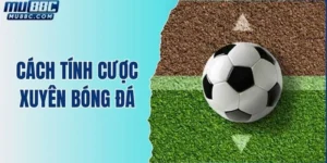 cach-tinh-cuoc-xuyen-bong-da