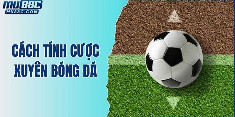 cach-tinh-cuoc-xuyen-bong-da