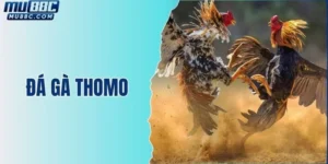 da-ga-thomo
