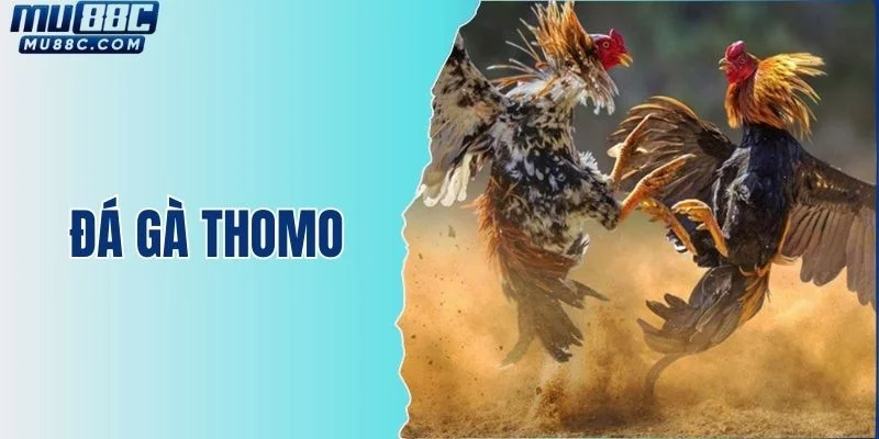 da-ga-thomo