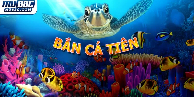 tim-hieu-ve-ban-ca-tien