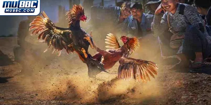 tong-hop-cac-giong-ga-pho-bien-trong-da-ga-cua-sat