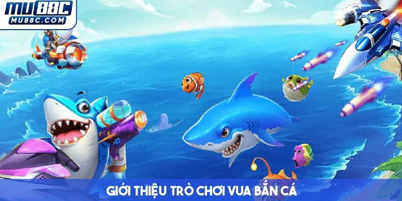 vai-net-co-ban-ve-tro-choi-vua-san-ca-tai-mu88